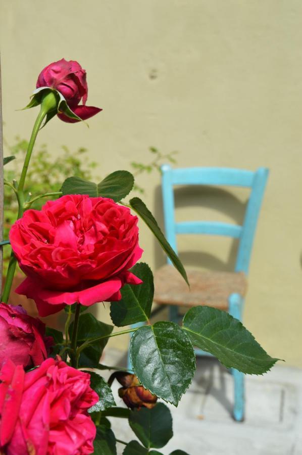 B&B Lady Cocca Savio di Ravenna Esterno foto