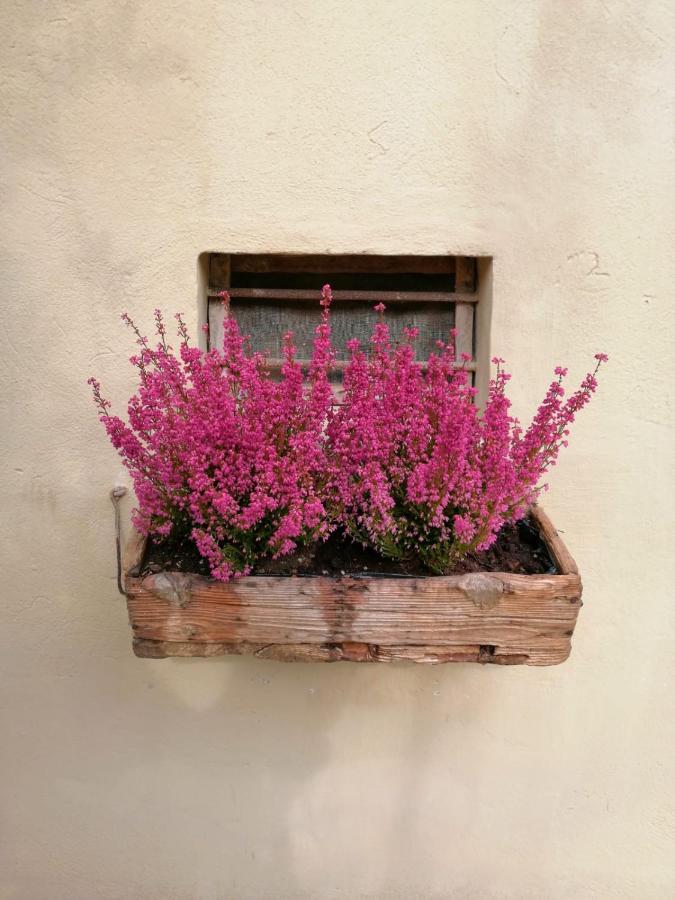 B&B Lady Cocca Savio di Ravenna Esterno foto
